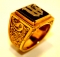CELTIC GRAGON 